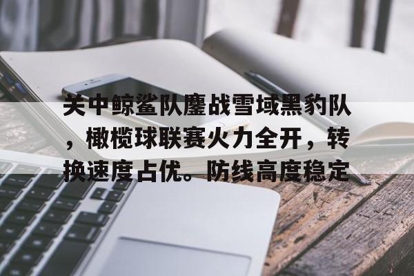 关中鲸鲨队鏖战雪域黑豹队，橄榄球联赛火力全开，转换速度占优。防线高度稳定的简单介绍